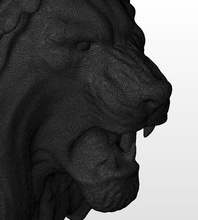 panthera leo head science lion animal mammal feline cat bigcat sculpture predator africa zoo tiger nature safari statue biology leon beast 3d print model - Mito3D