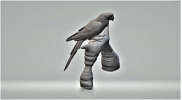 perroquet flamant oiseau cage ara rose Brésil toucan canari zoo art sculptures 3d print model - Mito3D