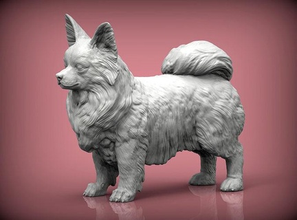 Papillon perro naturaleza mamífero animal mascota escultura estatuilla recuerdo 3d impresión modelo esculpir esculturas jardín interior Arte 3d print model - Mito3D