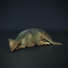 parasaurolophus bebek uyuyor hayvan yaratık dino Dinozor şekil Jurassic mini sürüngen küçük heykel minyatür tarih öncesi çocuk Kretase Otçul Paleoart Sanat heykeller 3d print model - Mito3D