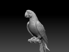 papagei gelegen on ast vogel skulptur flügel feder kunst innere drucker poly tier dekor statue ente gans truthahn vögel bauernhof dorf kakadu skulpturen 3d print model - Mito3D