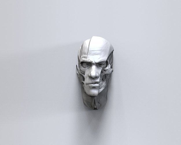 partiel visage sculpture statue homme art sculptures 3D print model - Mito3D