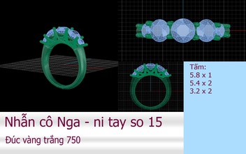 pavimentação do anel de diamante jóias jóia gem platina anéis 3d print model - Mito3D