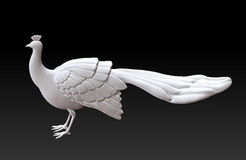 paon sculpture oiseau nature faune plume animal mouche 3d impression cage imprimable art sculptures 3d print model - Mito3D