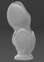 amendoim rachadura concha impressão noz semente passatempo faça 3d print model - Mito3D