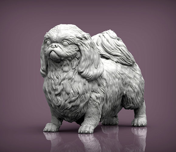 pekinés perro naturaleza mamífero animal mascota escultura estatuilla recuerdo 3d impresión modelo esculpir Arte esculturas estatua imprimible China 3D print model - Mito3D