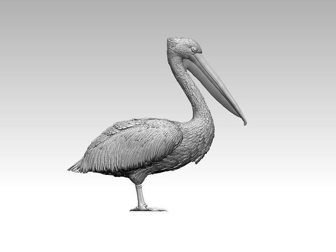 pelícano pájaro aves impresión estatua escultura highpoly arte esculturas cigüeña garza grua 3D print model - Mito3D