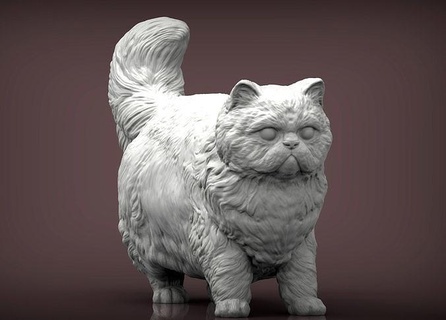 Farsça kedi hayvan memeli vahşi Evcil Hayvan Yavru doğa yavrusu heykel heykelcik hatıra 3d Yazdır model şekil vermek Sanat heykeller Iran kedisi 3d print model - Mito3D
