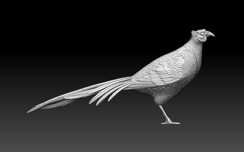 Fasan drucken Vogel Skulptur Tier Pfau Papagei Statue Kunst Skulpturen 3d print model - Mito3D