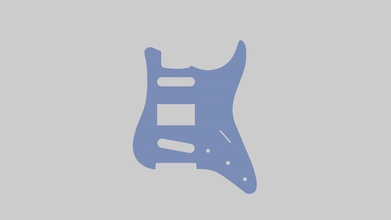 pickguard guitare mod st 3d impression modèle aile stratocaster ramasser plaque protection loisir diy 3d print model - Mito3D