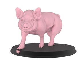 cerdo imprimible granja lindo salvaje animal naturaleza juguete juguetes real realista estatua mamífero arte esculturas 3d print model - Mito3D
