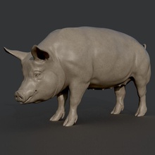 pig sculpture 3dmodel 3dprint 3dprinting stl animal mold cnc printing milling statue jewellery pendant 2019 symbol year swine boar pork art sculptures 3d print model - Mito3D