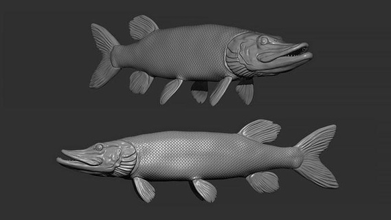 turna balığı yüzer Luce kriko minyatürler figürinler altın gümüş 3dprintble takı heykel cnc balık hayvanlar Sanat heykeller 3d print model - Mito3D