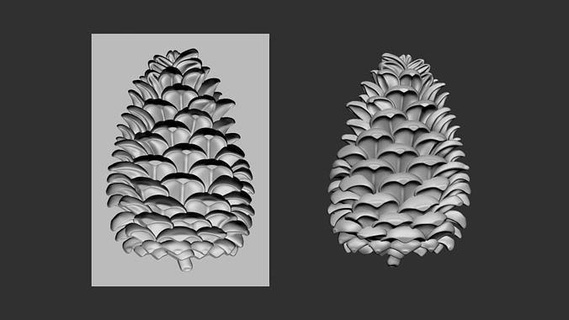 pine cone cookie stamp 3d model cedar tree forest nature photogrammetry scheme carved carving printable art signs logos 3d print model - Mito3D