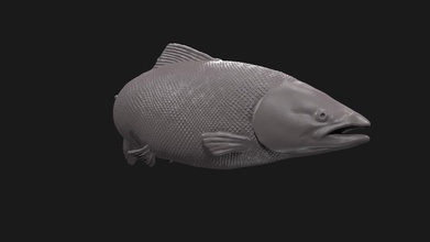 rosa salmone 2 natura pesce 3dprint 3dmodel arte sculture 3d print model - Mito3D