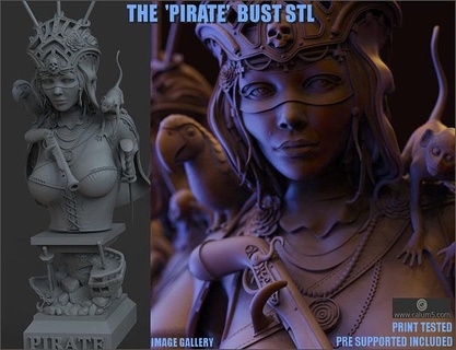 korsan 3dprint heykel gemi büst papağan tüfek kılıç kabadayı hazine enkazı Sanat 3dmodel figürinler Kadın takı altın hırsız tahsil edilebilir maymun heykeller 3d print model - Mito3D