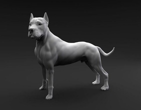 cova touro terrier pretendido 3d impressão cão animal canino miniatura figura escultura estátua imprimível miniaturas estatuetas pé pitbull stafford arte esculturas 3d print model - Mito3D