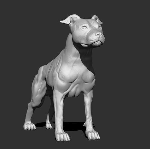 pitbull cão filhote cachorro norvoso mordida arte esculturas 3D print model - Mito3D