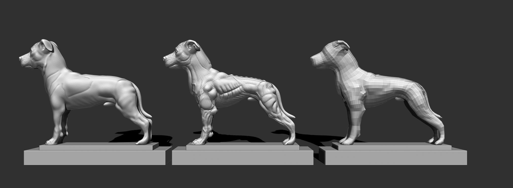 pitbull 3 modelli stampa scultura arte cane lowpoly bravo nudo figura animale sculture 3D print model - Mito3D