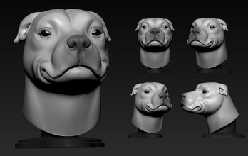 pitbull mignonne chien animal compagnie agressif miniatures visage figurines déco isolé art sculptures 3d print model - Mito3D