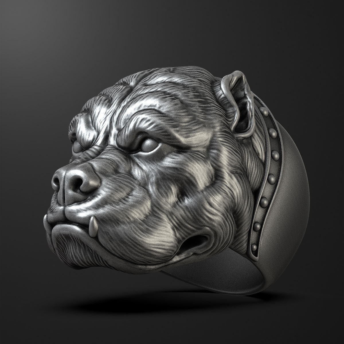 bouledogue tête bague bijoux 3d pitbull or argent stl sculp exclusif animal anneaux 3D print model - Mito3D
