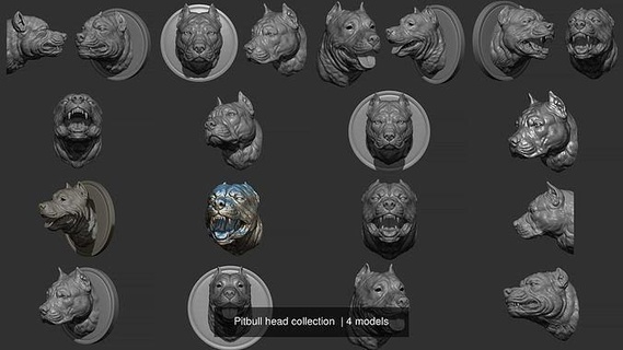pitbull testa collezione terrier Toro stampabile americano scultura stafford sculture statua animale arte ruggito sorriso arredamento 3d print model - Mito3D