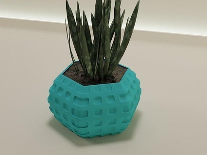 plante pot 48 cactus nature flore fleur forme abstrait bol vase succulent articles ménagers vaisselle décor botanique jardinage vert maison drainer modèle 3d print model - Mito3D
