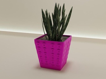 Pflanze Topf 49 Kaktus Natur Flora Blume gestalten Schüssel Vase saftig Haushaltswaren Geschirr Dekor botanisch Gartenarbeit Haus ablassen Muster Wachstum Plastik 3d print model - Mito3D