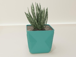 plante pot 64 cactus flore fleur forme abstrait bol vase succulent articles ménagers vaisselle décor botanique jardinage maison drainer d'appartement 3d print model - Mito3D