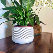 pianta pentola design 3d vaso cactus casa arredamento natura ornamento in albero foresta 3d print model - Mito3D