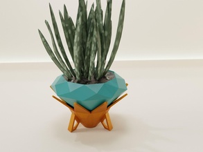 pianta pentola scolare 67 cactus flora fiore forma astratto ciotola vaso succulenta casalinghi stoviglie arredamento botanico giardinaggio verde Casa casa 3d print model - Mito3D