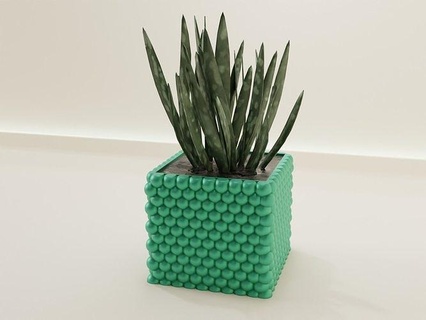 planta maceta soporte 57 cactus flora flor forma resumen cuenco florero suculento menaje vajilla decoración botánico jardinería verde casa burbuja 3d print model - Mito3D