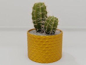plante pot titulaire soutien 81 cactus fleur feuille croissance vase succulent général décor botanique bureau déco moderne décoration planteur maison bol 3d print model - Mito3D