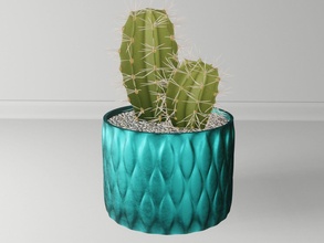 planta maceta soporte 82 cactus flora flor forma resumen cuenco florero suculento menaje vajilla decoración botánico jardinería verde casa desagüe 3d print model - Mito3D