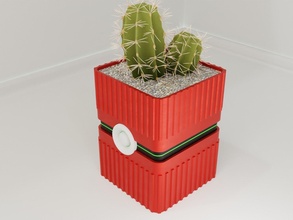planta maceta soporte 84 cactus crecimiento florero suculento general decoración botánico escritorio deco moderno plantador casa cuenco pokemon organizador 3d print model - Mito3D