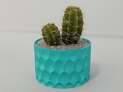 pflanze topf halter unterstützung 85 kaktus blume wachstum vase saftig allgemeines dekor botanisch schreibtisch deko modern zuhause haus dekoration pflanzer schüssel veranstalter 3d print model - Mito3D