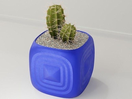 plante pot titulaire soutien 86 cactus fleur croissance vase succulent général décor botanique bureau déco moderne accueil maison décoration planteur bol forme géométrique 3d print model - Mito3D