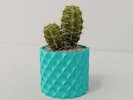 plante pot titulaire soutien 88 cactus fleur croissance vase succulent général décor botanique bureau déco moderne décoration planteur maison bol organisateur 3d print model - Mito3D