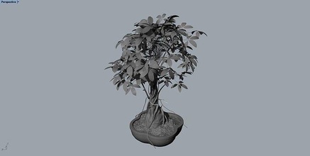 pianta albero palma erba cespuglio fiore pentola militare sfida natura foglia crescita flora arte retrò piazza monocromo autunno 3d print model - Mito3D