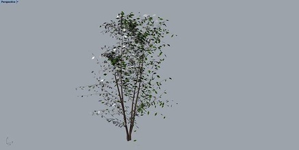 bitki ağaç avuç içi ot çalı çiçek tencere askeri meydan okuma doğa Yaprak büyüme şube örtüsü açık havada yaz Odun ekoloji 3d print model - Mito3D