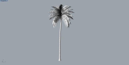Pflanze Baum Palme Kraut Busch Blume Topf Militär Herausforderung Natur Sommer Vogel Kokosnuss tropisch Blatt Wasser Strand Tierwelt 3d print model - Mito3D