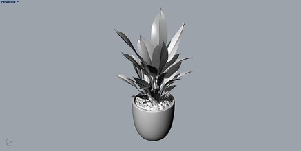 planta maceta árbol palma hierba arbusto flor militar desafío naturaleza hoja flora crecimiento verano contemporáneo retro vertical desunido 3d print model - Mito3D