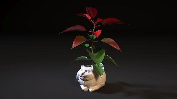 plantador gato vela decoración Arte porcelana maceta gatito escultura plastico menaje casa cabeza interior diseño mueble 3d print model - Mito3D