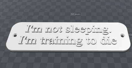 plate-im not sleeping im training die architecture boss colleague door handle entrance entry free fun furniture house knocker lock office plaque plate decor 3d print model - Mito3D
