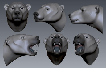 polar bear art eye teeth sculpture illustration statue tooth man head sculptures 3d print model - Mito3D