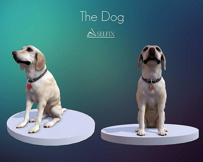poly file dog cute puppy animal pet animals art sculptures 3d print model - Mito3D