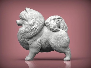 pomeranio figurilla perro naturaleza mamífero animal mascota escultura estatuilla recuerdo 3d impresión modelo esculpir arte esculturas estatua imprimible pomerania 3d print model - Mito3D