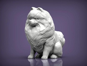 pomeranya köpek doğa memeli hayvan Evcil Hayvan heykel heykelcik hatıra 3d Yazdır model şekil vermek Sanat heykeller yazdırılabilir Spitz 3d print model - Mito3D
