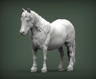 pony 3d Stampa modello animale natura cavallo cavalla stallone mammifero scultura souvenir presente capitolo scolpire arte sculture azienda agricola pascolo piccolo 3d print model - Mito3D