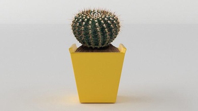 maceta 3d modelo impresión 1 ollas plantas flores florero césped decorativo planta cerámica árbol cactus flora naturaleza decoración casa aire libre flor 3d print model - Mito3D